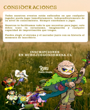 EVENTO DE ROL COMEDIANTES Y DRAGONES: 19° VERSION